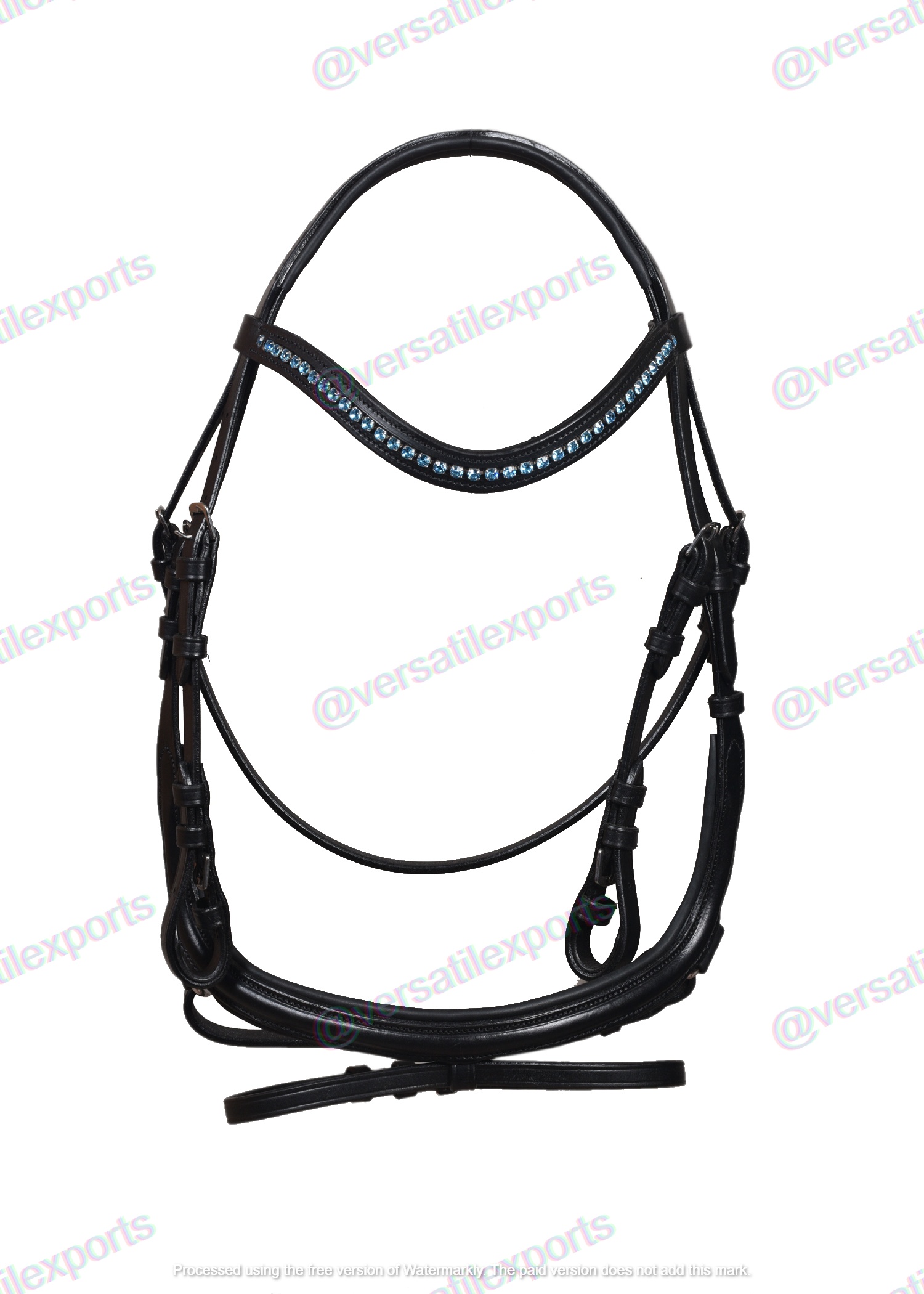 Bridle with Anatomical Design